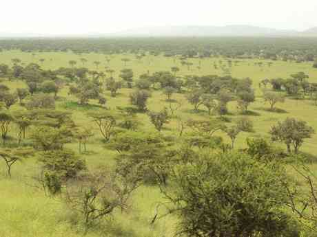 Classic Kenya & Tanzania Explorer